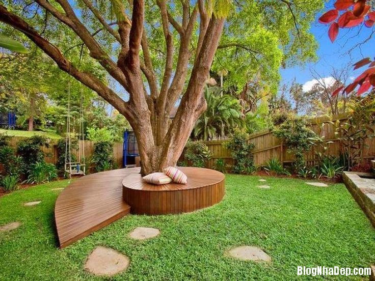 Thiết kế ghế cây ấn tượng tô điểm cho khu vườn