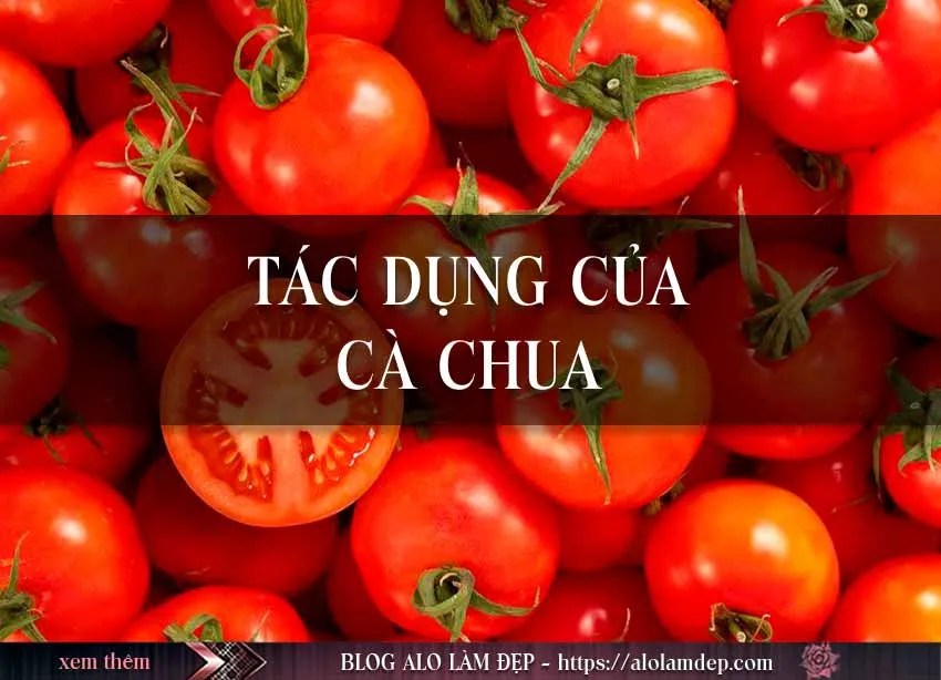 2 cách làm đẹp bằng cà chua và đường đơn giản cực hiệu quả