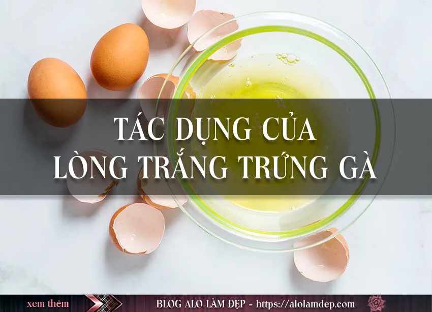 Bật mí 4 cách làm đẹp từ lòng trắng trứng gà dễ dàng, hiệu quả