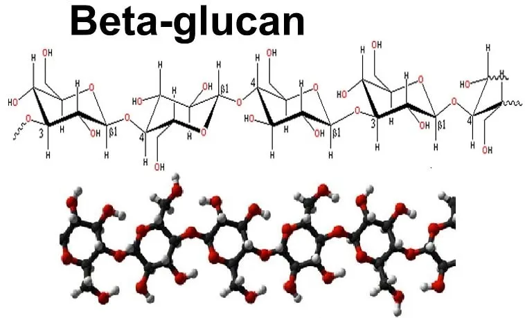 Beta Glucan là gì ? Vũ khí đặc biệt chống ung thư hiệu quả