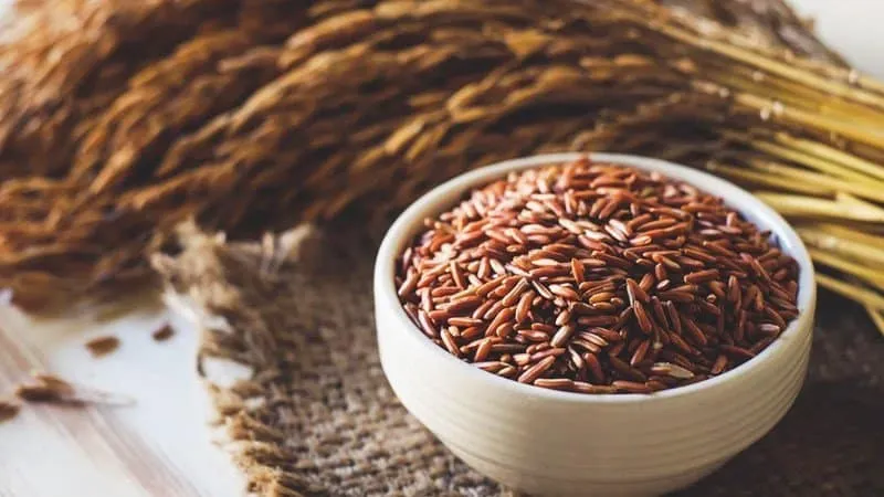 Beta Glucan là gì ? Vũ khí đặc biệt chống ung thư hiệu quả