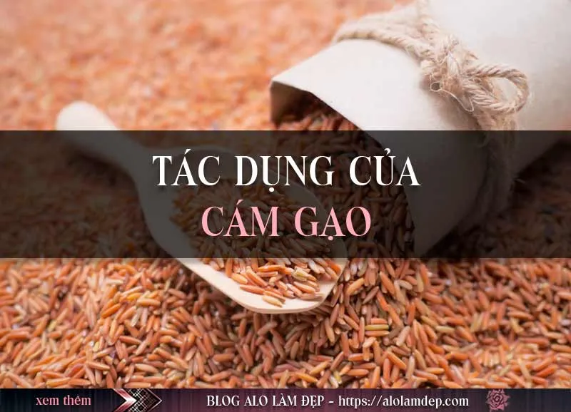 Cách làm đẹp từ cám gạo và sữa tươi không đường thoa đến đâu da trắng đến đó