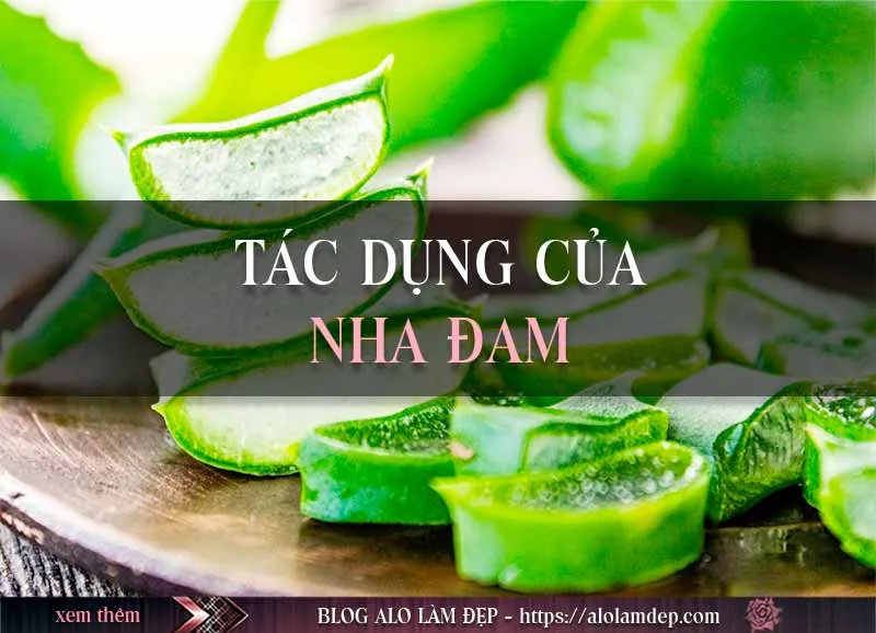 Cách làm đẹp với nha đam và sữa tươi đơn giản tại nhà mà hiệu quả