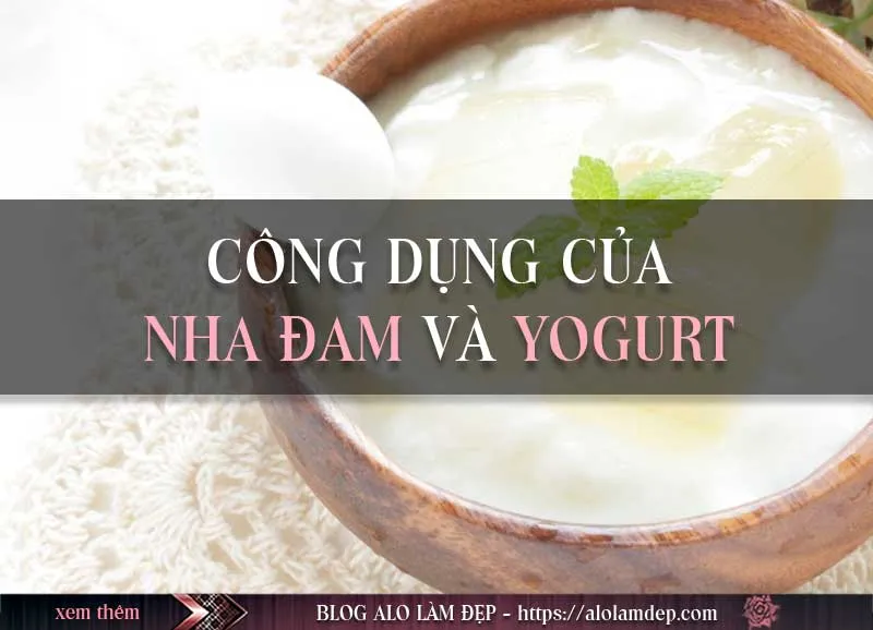 Cách làm mặt nạ nha đam sữa chua để sở hữu làn da gợi cảm