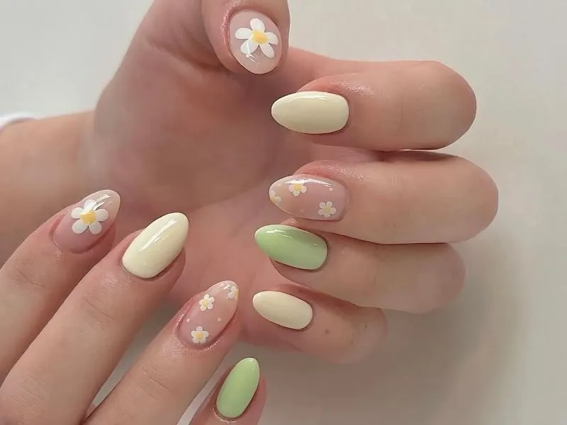 Gợi ý 9 mẫu nail hoa cúc trắng dịu dàng cá tính cho các nàng