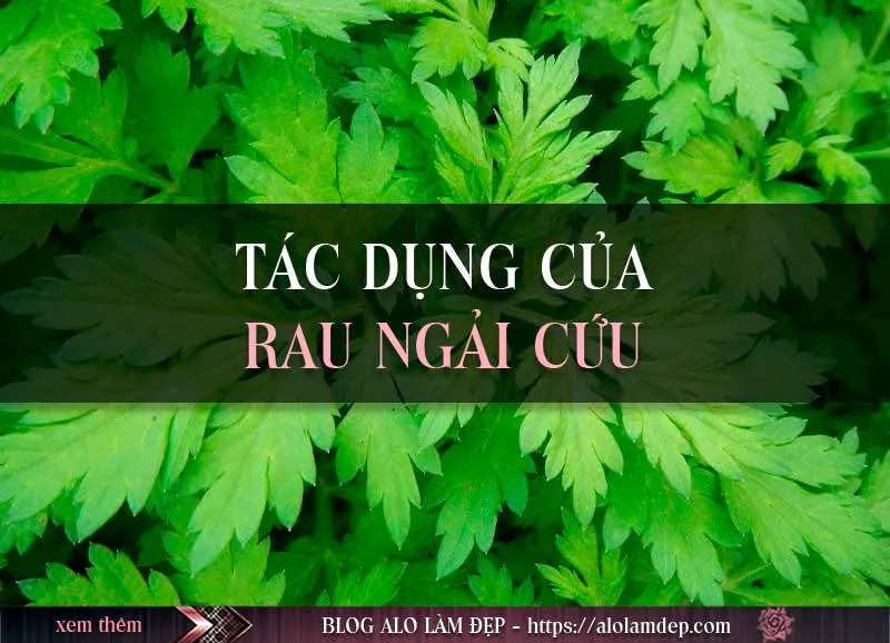 Hướng dẫn 3 cách làm đẹp rau ngải cứu chuẩn nhất