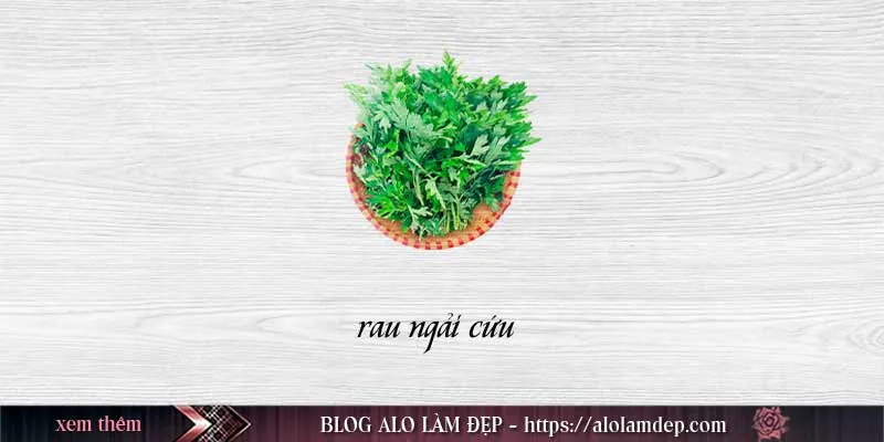 Hướng dẫn 3 cách làm đẹp rau ngải cứu chuẩn nhất