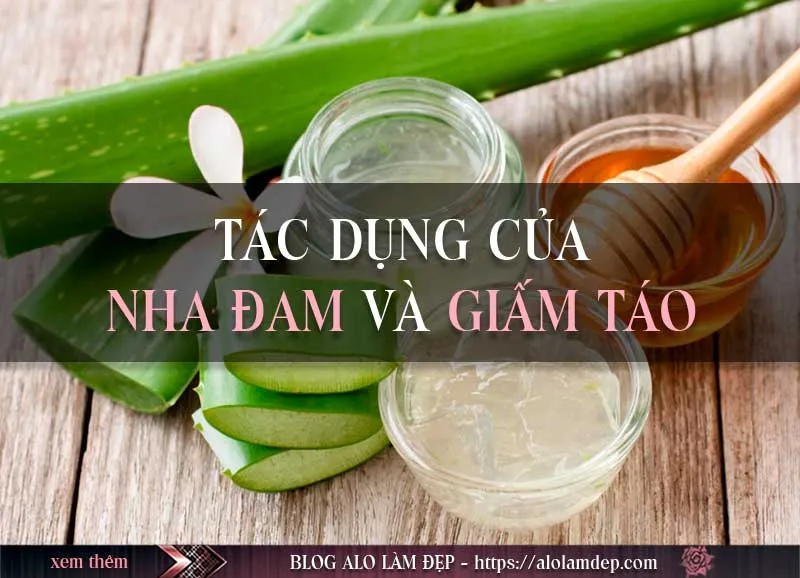 Hướng dẫn cách làm đẹp bằng nha đam ngâm giấm giúp da trắng mịn bất ngờ