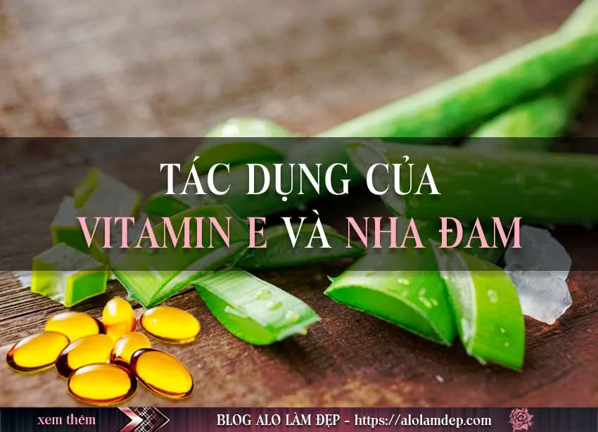 Hướng dẫn cách làm đẹp từ vitamin E và nha đam an toàn, dễ dàng tại nhà