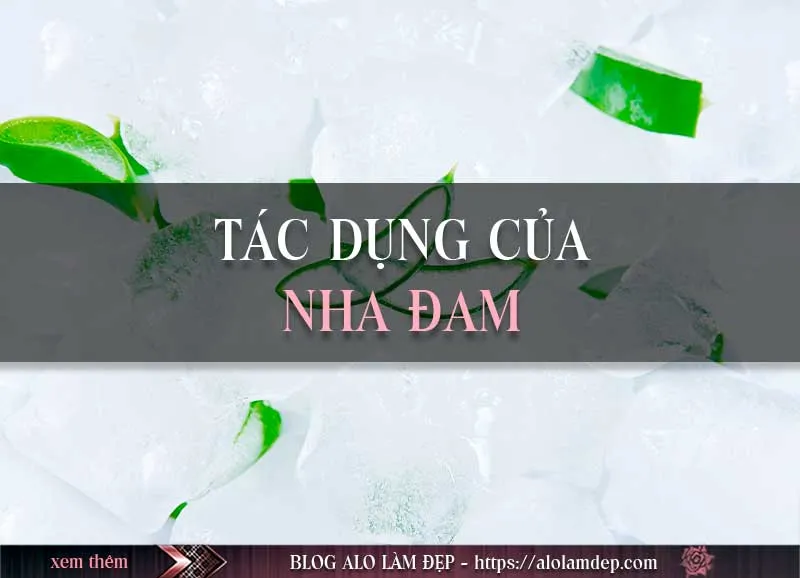 Hướng dẫn chi tiết 3 cách làm đẹp từ nha đam đông đá