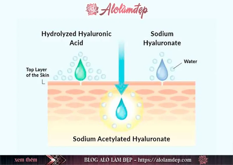 Hydrolyzed Hyaluronic Acid là gì ? Hydrolyzed Hyaluronic Acid có tác dụng gì trong mỹ phẩm làm đẹp