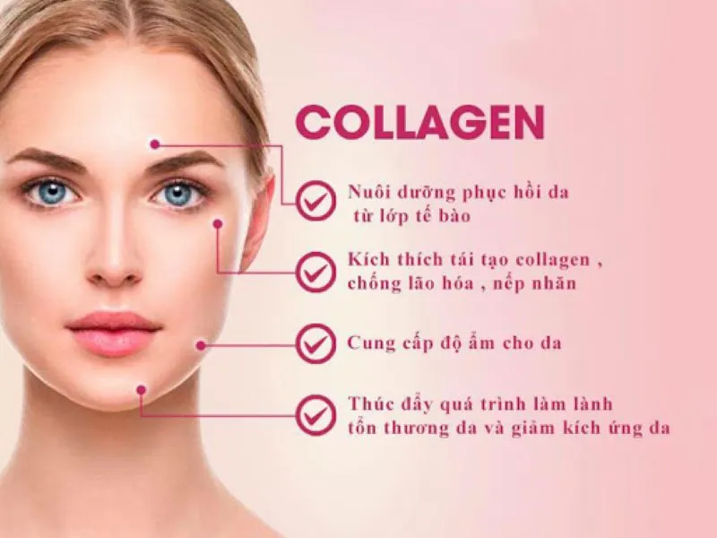 Khám phá cách bổ sung Collagen đúng cách hiệu quả cho cơ thể và làn da