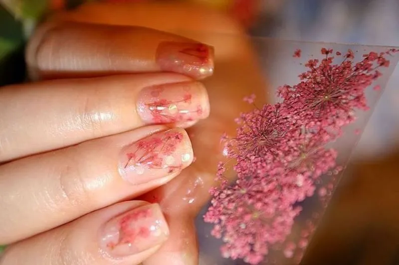 Nail ẩn hoa khô là gì? Các loại hoa khô nào phổ biến cho nail art?