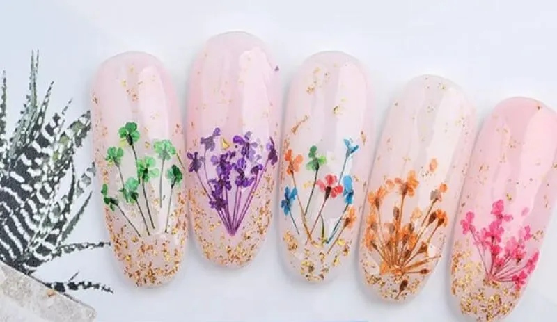 Nail ẩn hoa khô là gì? Các loại hoa khô nào phổ biến cho nail art?