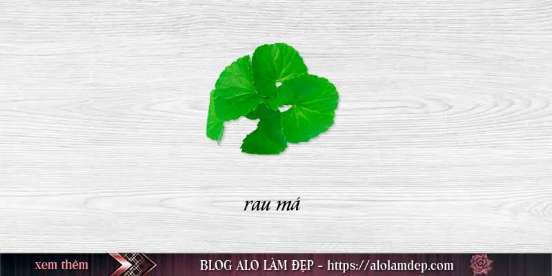 Nắm trọn 4 cách làm đẹp từ rau má tốt nhất hiện nay