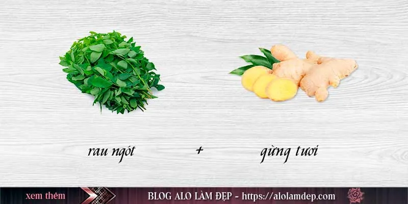 Tổng hợp top 3 cách làm đẹp bằng rau ngót đơn giản ngay tại nhà