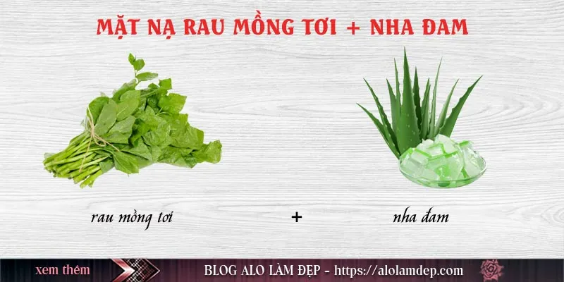 Top 10+ cách làm đẹp bằng rau mồng tơi tại nhà