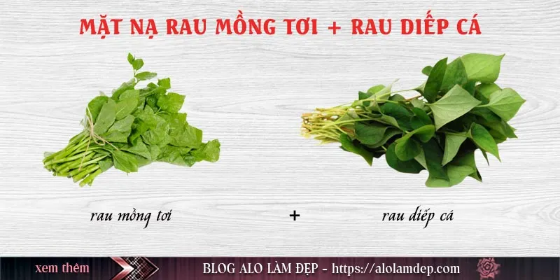 Top 10+ cách làm đẹp bằng rau mồng tơi tại nhà