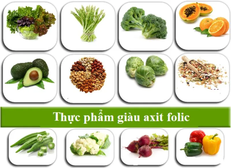 Top 10+ thực phẩm giàu acid folic cơ thể cần được bổ sung ngay