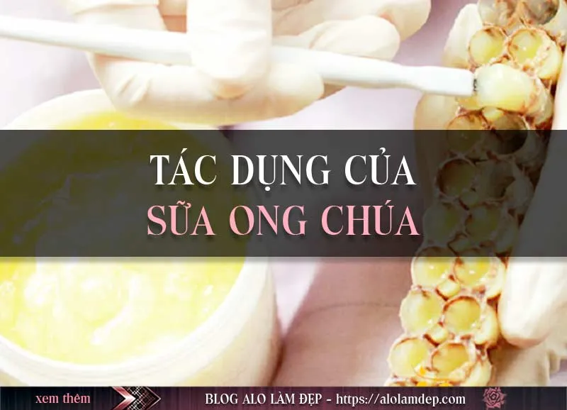 Top 2 cách làm đẹp bằng sữa ong chúa giúp dưỡng trắng da ai cũng nên biết