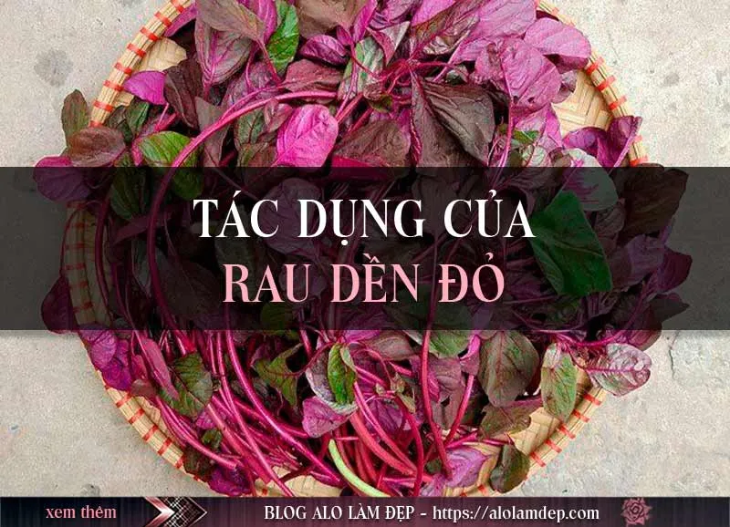 Top 3 cách làm đẹp rau dền đỏ giúp da trắng mịn bất ngờ