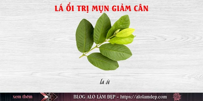 Top 3 cách làm đẹp từ ổi tại nhà hiệu quả đẹp từ trong ra ngoài