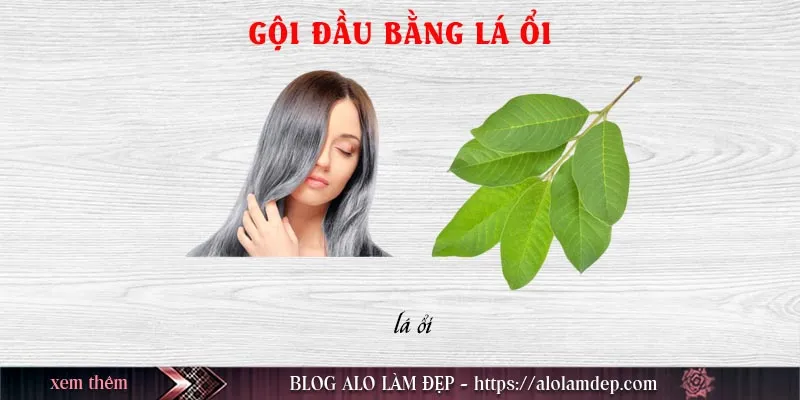 Top 3 cách làm đẹp từ ổi tại nhà hiệu quả đẹp từ trong ra ngoài