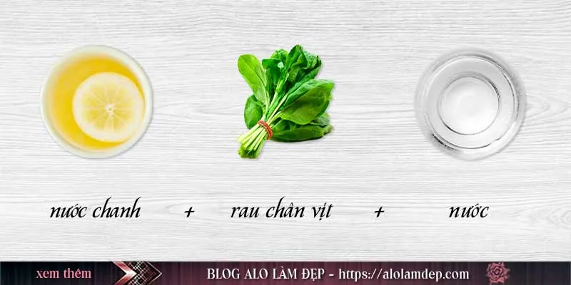 Top 4 cách làm đẹp da bằng rau chân vịt giúp da rạng rỡ