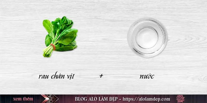 Top 4 cách làm đẹp da bằng rau chân vịt giúp da rạng rỡ