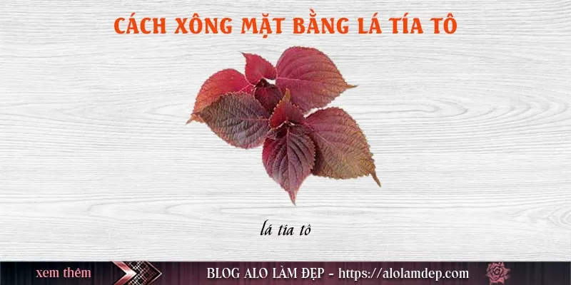 Top 5 cách xông mặt bằng lá tía tô tại nhà