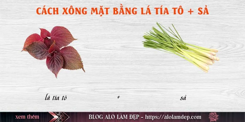 Top 5 cách xông mặt bằng lá tía tô tại nhà