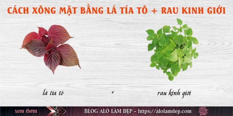 Top 5 cách xông mặt bằng lá tía tô tại nhà