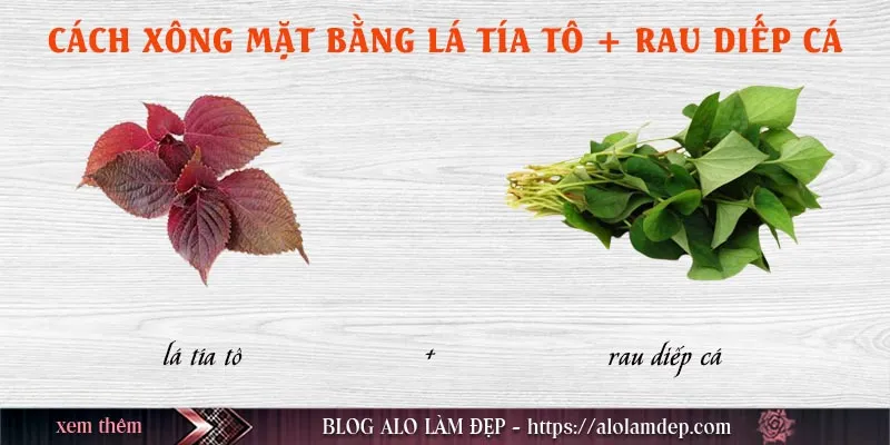 Top 5 cách xông mặt bằng lá tía tô tại nhà