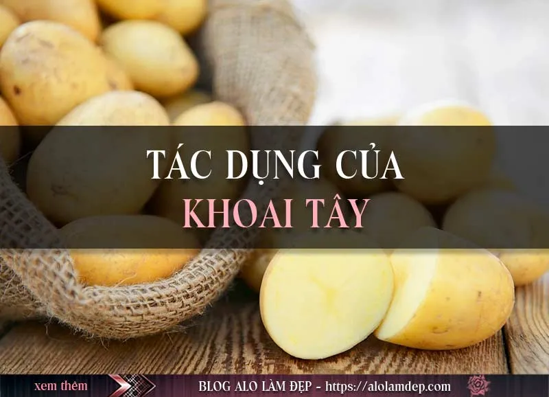 Top 6 cách làm đẹp bằng khoai tây chăm sóc da mỗi ngày